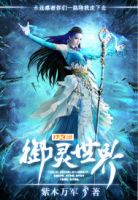 《御灵世界》