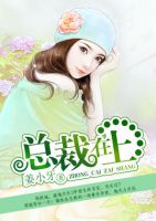 《总裁在上》