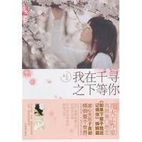 《我在千寻之下等你》