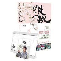 《兰陵王妃》