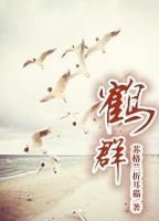 《鹤群》