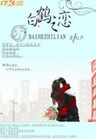 《白鹤他地恋》