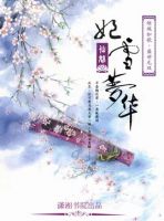 《妃雪梦华》