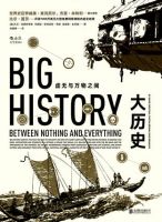 《大历史》