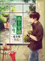 《当重生遇上穿越》