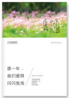 《那一年，我们爱得闪闪发亮》