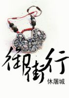 《御街行(休屠城小说)》