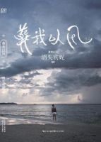 《葬我以风》