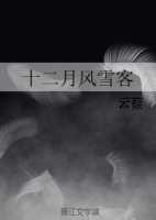 《十二月风雪客》