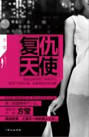 《复仇天使》