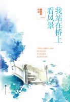 《我站在桥上看风景》