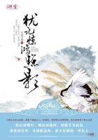 《犹记惊鸿照影》