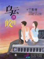 《乌云遇皎月》