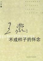 《不成样子的怀念》