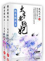 《报告摄政王之太子要纳妃》