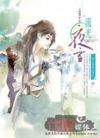 《流光夜雪》