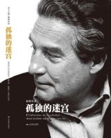 《孤独的迷宫》