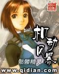 《机动风暴》