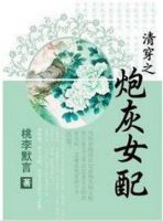 《清穿之炮灰女配》
