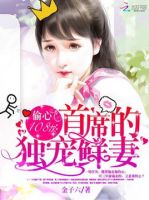 《偷心108次：首席的独宠鲜妻》