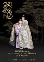 《双世宠妃》