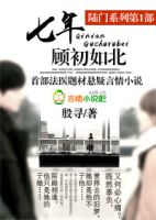 《陆门 七年顾初如北》