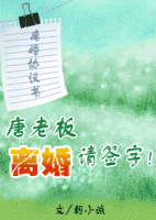 《唐老板离婚请签字》