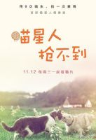 《喵星人抢不到》
