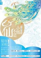 《小凰不是仙》