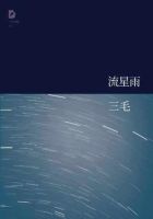 《流星雨》