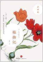 《植物记：新疆篇》