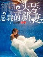 《第一名媛，总裁的头号新妻》
