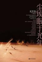 《尘埃眠于光年》