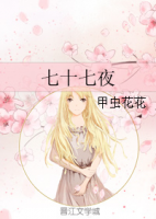 《七起们七夜》