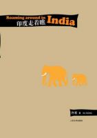 《印度走着瞧》