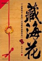 《藏海花》