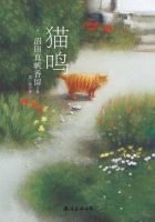 《猫鸣》