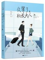 《久等了，机长大人》