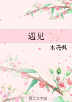 《遇见(木晓枫小说)》