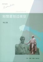《如彗星划过夜空》