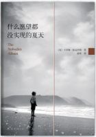 《什么愿望都没实现的夏天》