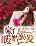 《豪门暖婚蜜爱》