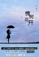 《槐树花开》