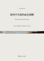 《海风中失落的血色馈赠》