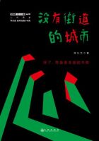 《没有街道的城市》