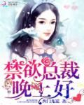 《禁欲总裁，晚上好！》