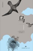 《鸟》