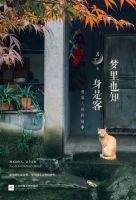 《梦里也知身是客》