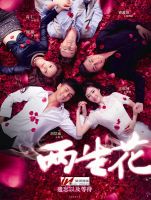 《两生花(电视剧)》