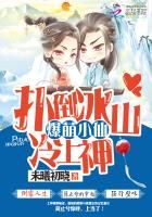 《爆萌小仙：扑倒冰山冷上神》